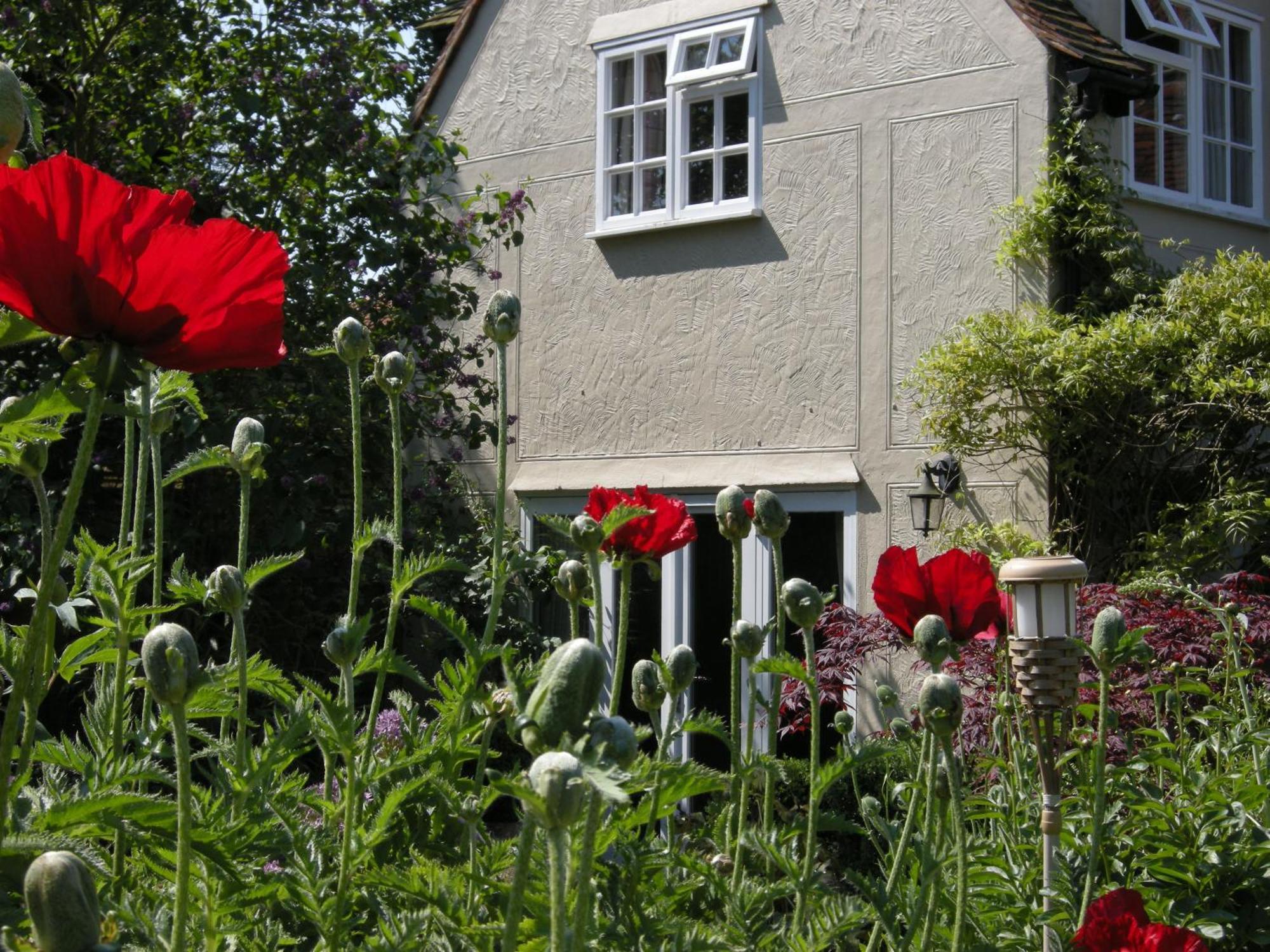 Motts Bed & Breakfast Great Dunmow Exteriér fotografie